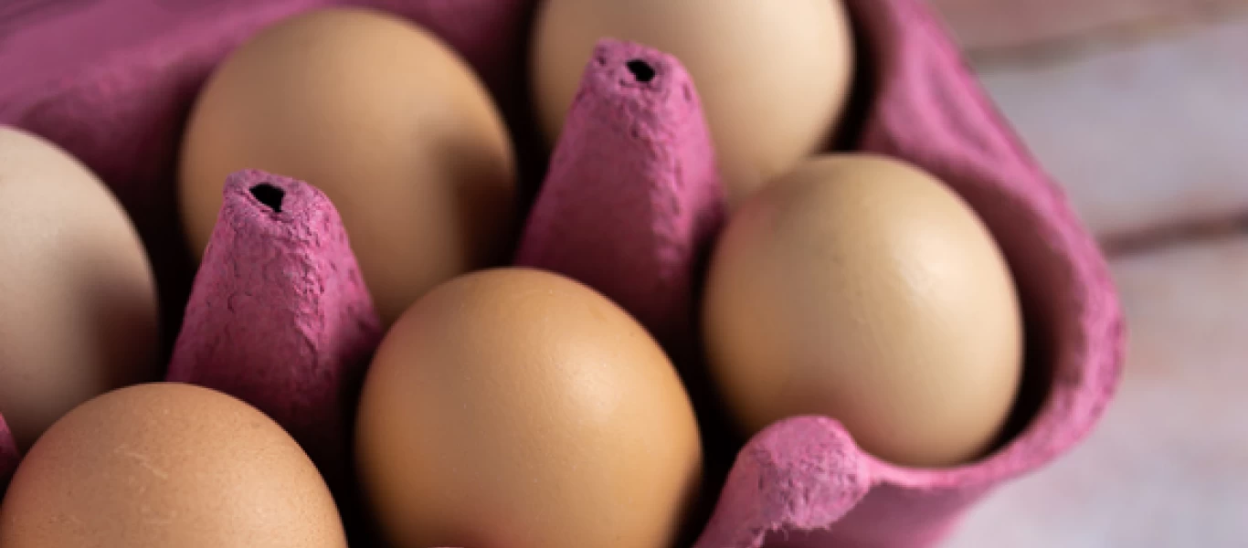 Αυγά: Πόσες θερμίδες έχουν; - Ο λόγος που πρέπει να τα εντάξετε στην διατροφή σας